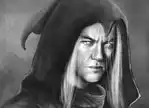 A New Great Ongoing Project: Shadow Fey Artworks