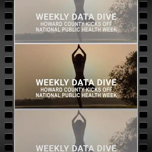 Weekly Data Dive. Movie File.