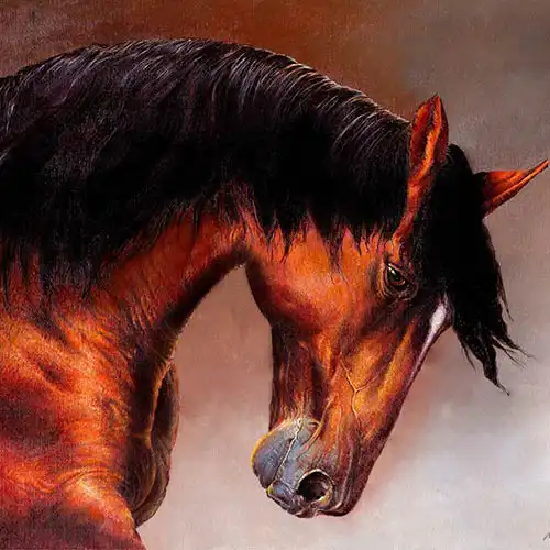 OIL PAINTING on CANVAS, HORSE HEAD - © Ural Akyuz